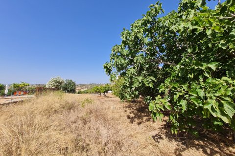 Parcela en venta Santa Margalida, Mallorca, España 325 m2 No. 111814 - foto 6