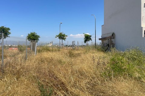 Land plot for sale Palma de Majorca, Mallorca, Spain 336 sq.m. No. 111820 - photo 2