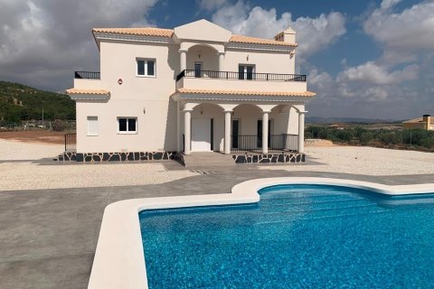 Villa in vendita Pinoso, Alicante, Spagna 4 camere da letto, 180 mq. N° 114024 - foto 2