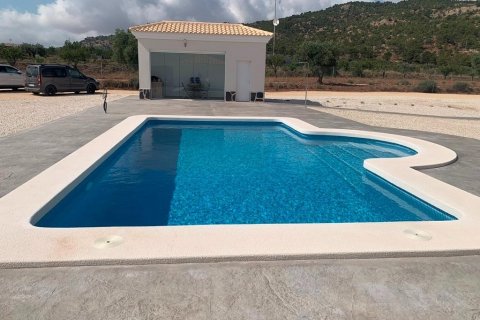 Villa in vendita Pinoso, Alicante, Spagna 4 camere da letto, 180 mq. N° 114024 - foto 4