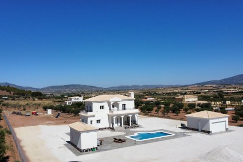 Villa in vendita Pinoso, Alicante, Spagna 4 camere da letto, 180 mq. N° 114024 - foto 6