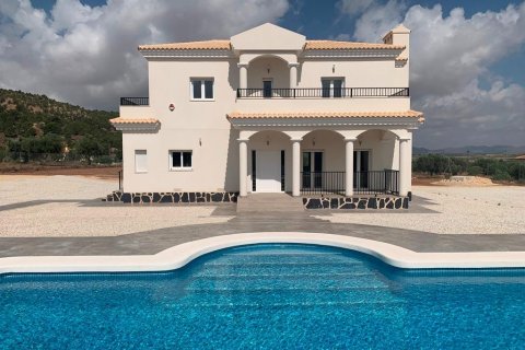 Villa in vendita Pinoso, Alicante, Spagna 4 camere da letto, 180 mq. N° 114024 - foto 3