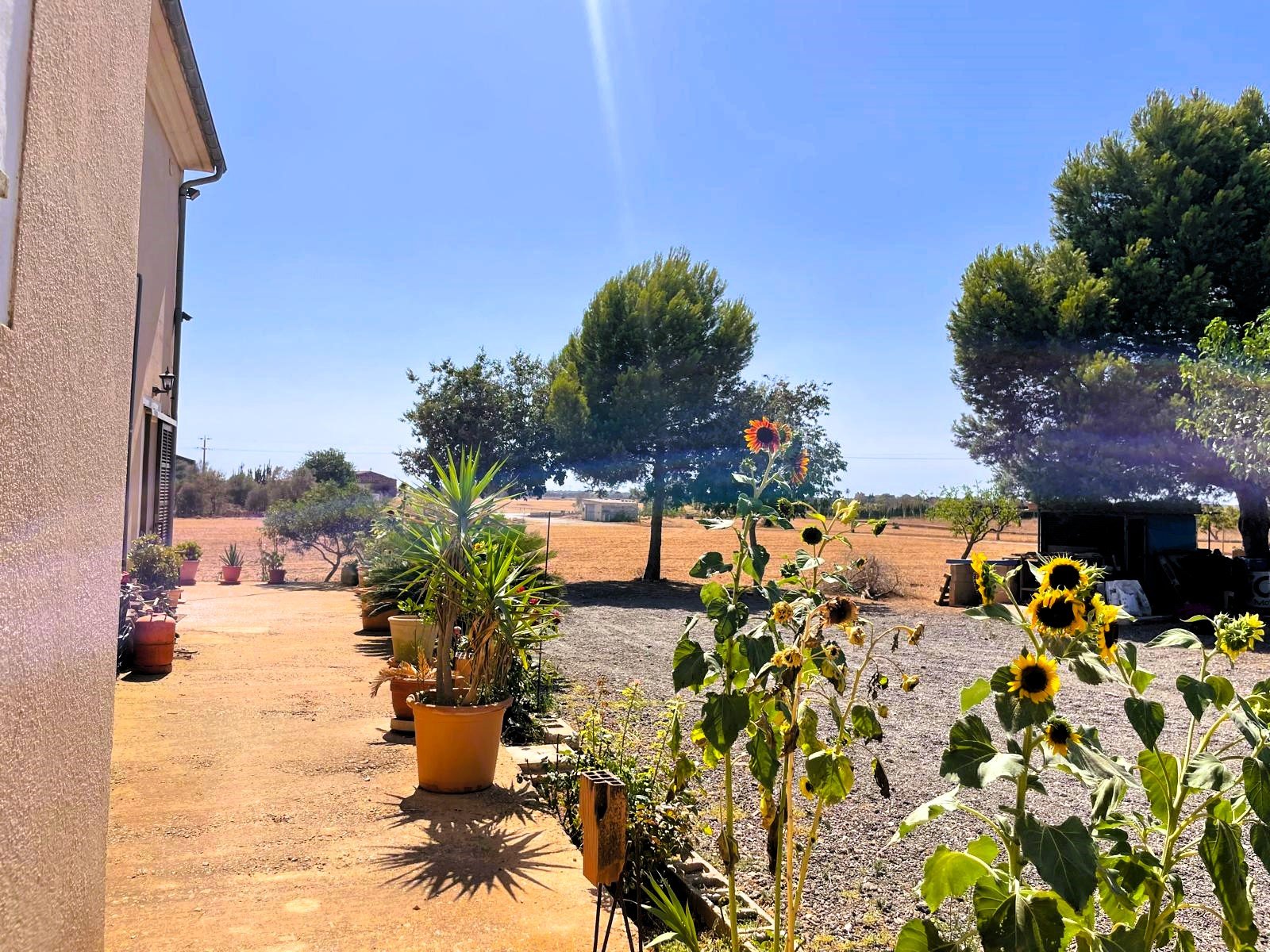 Finca a Campos, Mallorca, Spagna 5 camere da letto, 409 mq. N° 111830