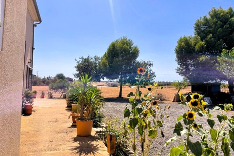 Finca for sale Campos, Mallorca, Spain 5 bedrooms, 409 sq.m. No. 111830 - photo 6