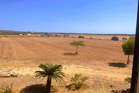 Finca for sale Campos, Mallorca, Spain 5 bedrooms, 409 sq.m. No. 111830 - photo 3
