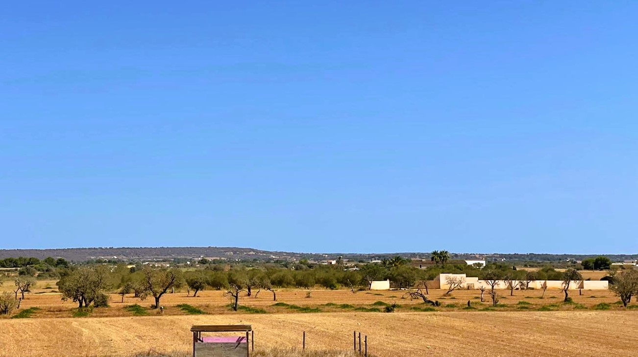 Finca a Campos, Mallorca, Spagna 5 camere da letto, 409 mq. N° 111830