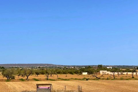 Finca for sale Campos, Mallorca, Spain 5 bedrooms, 409 sq.m. No. 111830 - photo 4