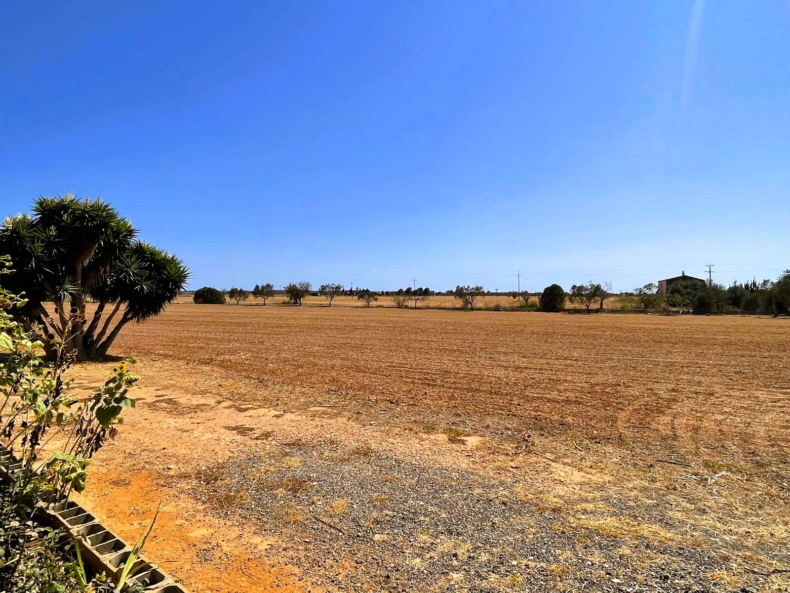 Finca a Campos, Mallorca, Spagna 5 camere da letto, 409 mq. N° 111830