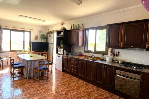 Finca for sale Campos, Mallorca, Spain 5 bedrooms, 409 sq.m. No. 111830 - photo 19