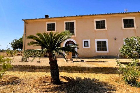 Finca for sale Campos, Mallorca, Spain 5 bedrooms, 409 sq.m. No. 111830 - photo 1