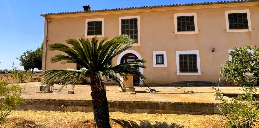 Finca Campos, Mallorca, Spain 5 bedrooms, 409 sq.m. No. 111830