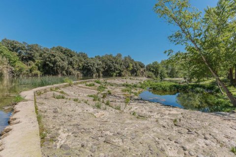 Продажа коммерческой недвижимости Жирона, Герона, Испания 8 спален, 727м2 №22613 - фото 28