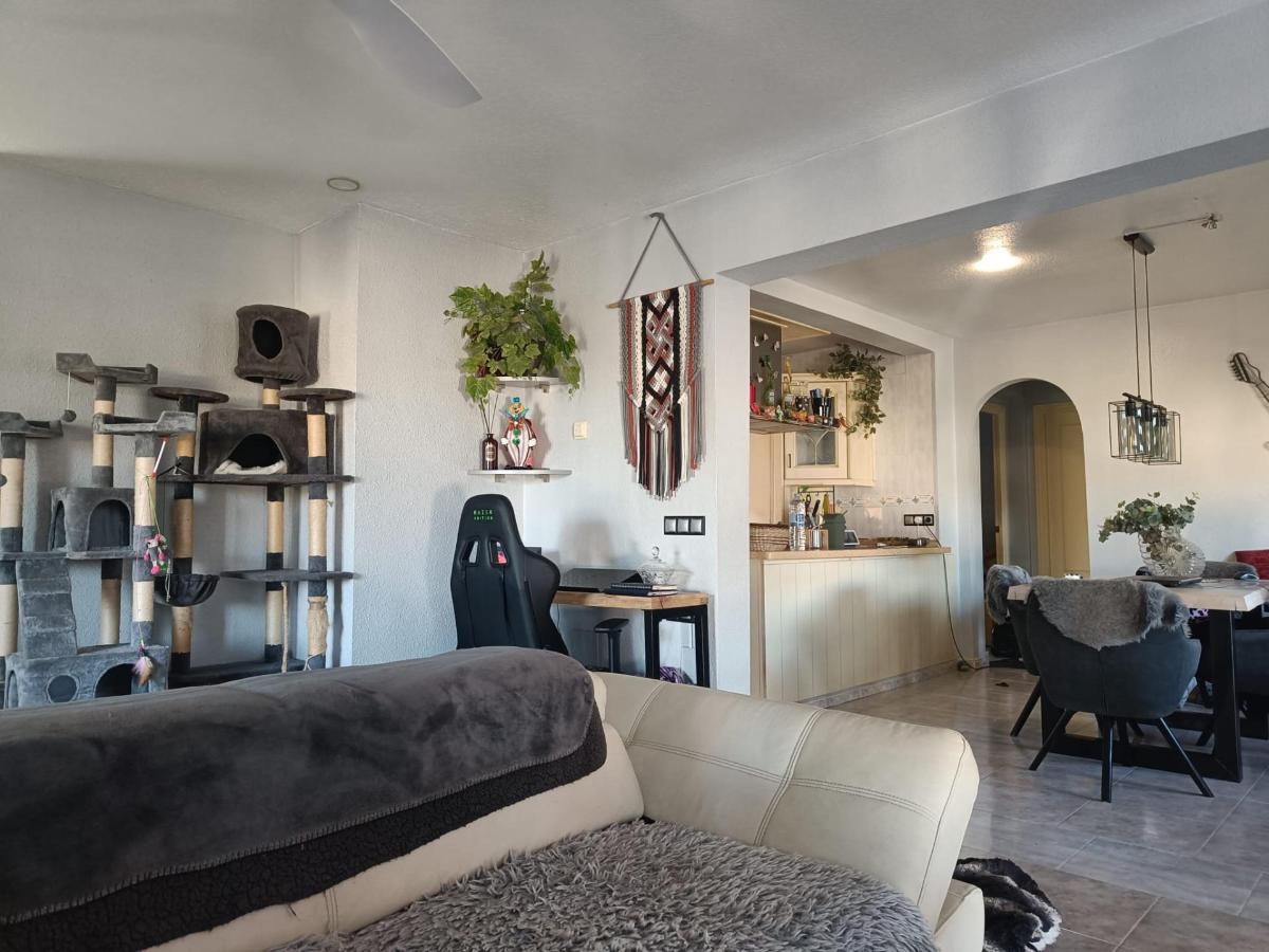 Villa in Benijofar, Alicante, Spanien 5 Schlafzimmer, 177 m2 Nr. 104384