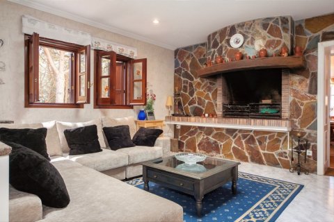 House for sale Mataro, Barcelona, Spain 8 bedrooms, 1648 sq.m. No. 22828 - photo 11