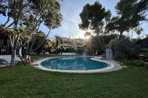 Apartment for rent Santa Ponsa, Mallorca, Spain 4 bedrooms, 150 sq.m. No. 111928 - photo 19