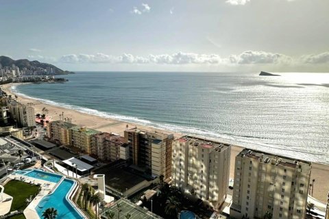 Apartment for sale Benidorm, Alicante, Spain 1 bedroom, 134 sq.m. No. 118046 - photo 25
