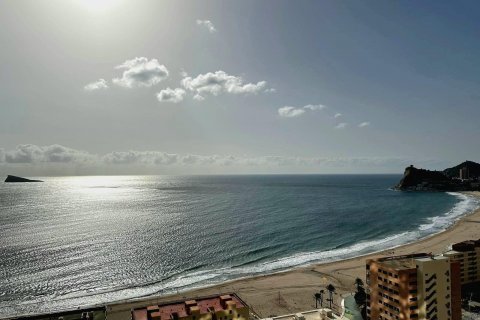 Apartment for sale Benidorm, Alicante, Spain 1 bedroom, 134 sq.m. No. 118046 - photo 10