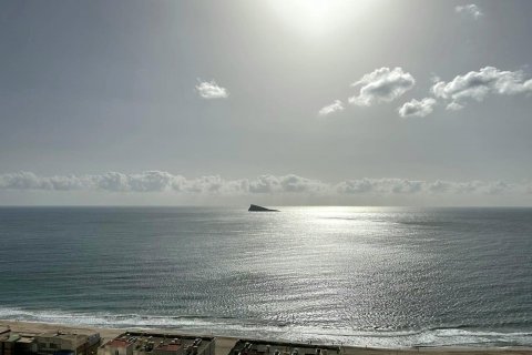 Apartment for sale Benidorm, Alicante, Spain 1 bedroom, 134 sq.m. No. 118046 - photo 7
