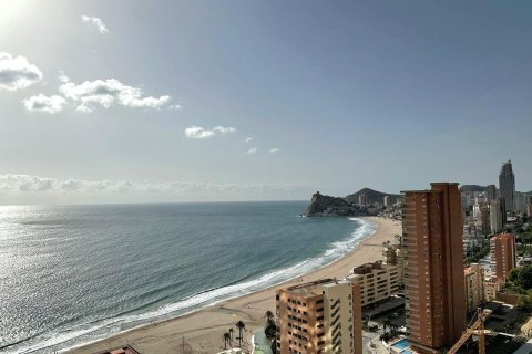 Apartment for sale Benidorm, Alicante, Spain 1 bedroom, 134 sq.m. No. 118046 - photo 9