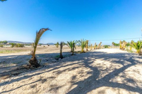 Villa pārdošanā Alicante, Spānijā 5 istabas, 240 m2 Nr. 115042 - attēls 23