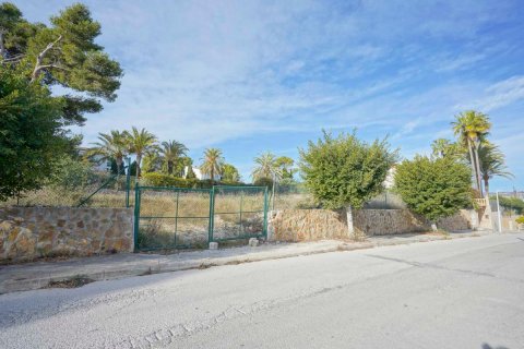 Land plot à vendre Javea, Alicante, EspagneNo. 91569 - photo 2