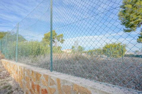 Land plot à vendre Javea, Alicante, EspagneNo. 91569 - photo 5