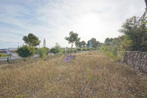 Land plot à vendre Javea, Alicante, EspagneNo. 91569 - photo 6