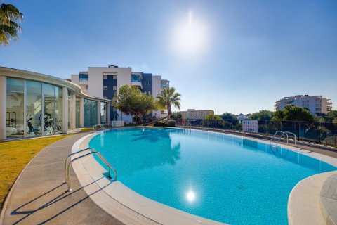 Apartment for sale Orihuela, Alicante, Spain 2 bedrooms, 70 sq.m. No. 112368 - photo 21