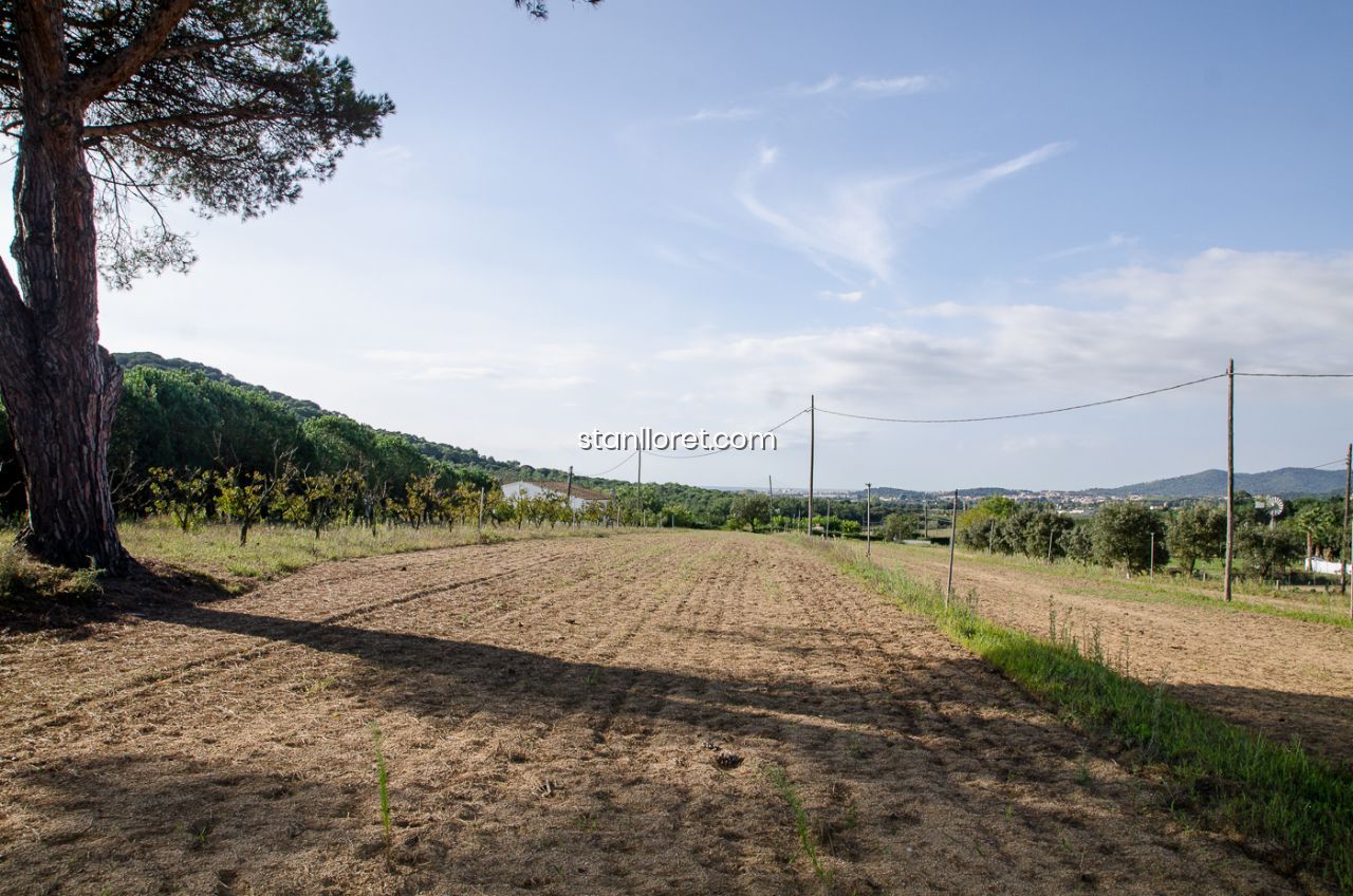 Māja Blanes, Girona, Spānijā 7 istabas, 400 m2 Nr. 104062