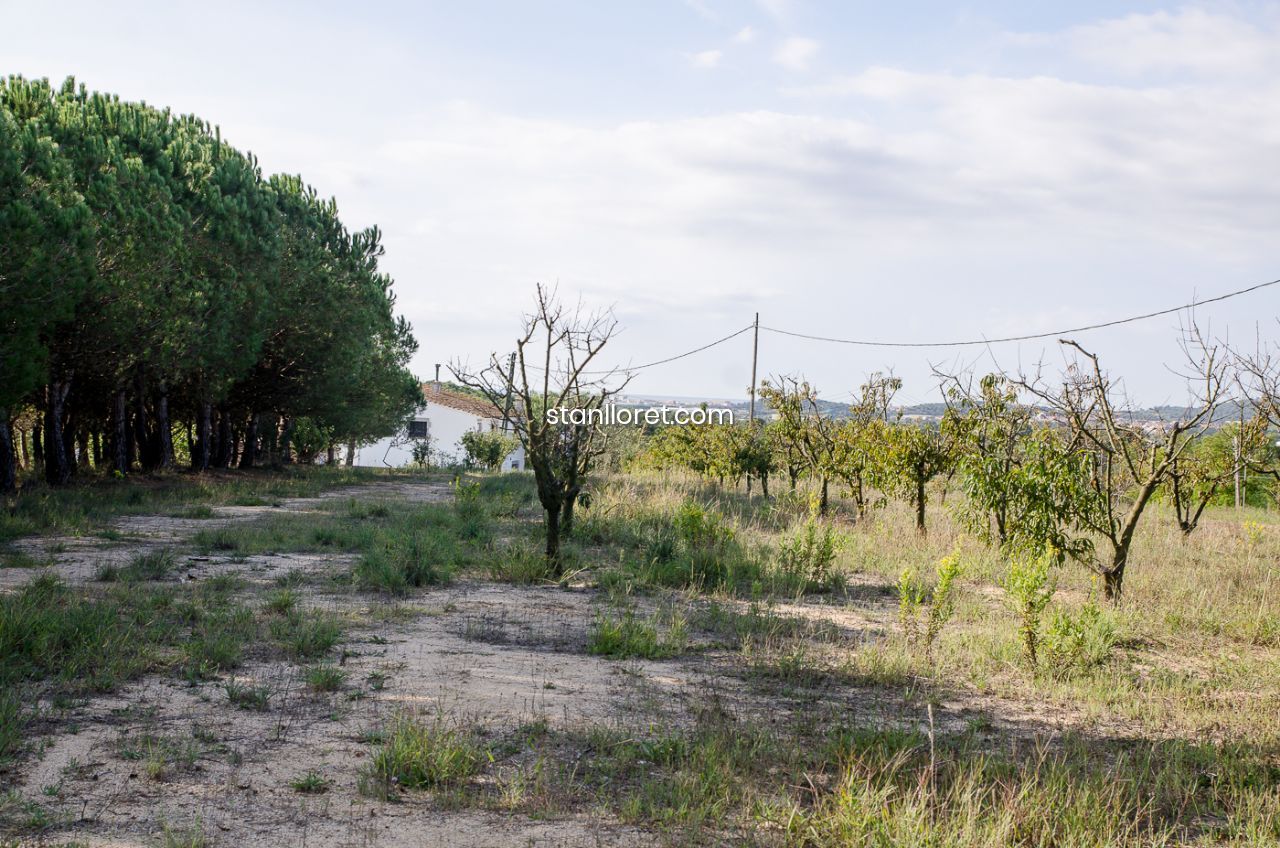 Māja Blanes, Girona, Spānijā 7 istabas, 400 m2 Nr. 104062