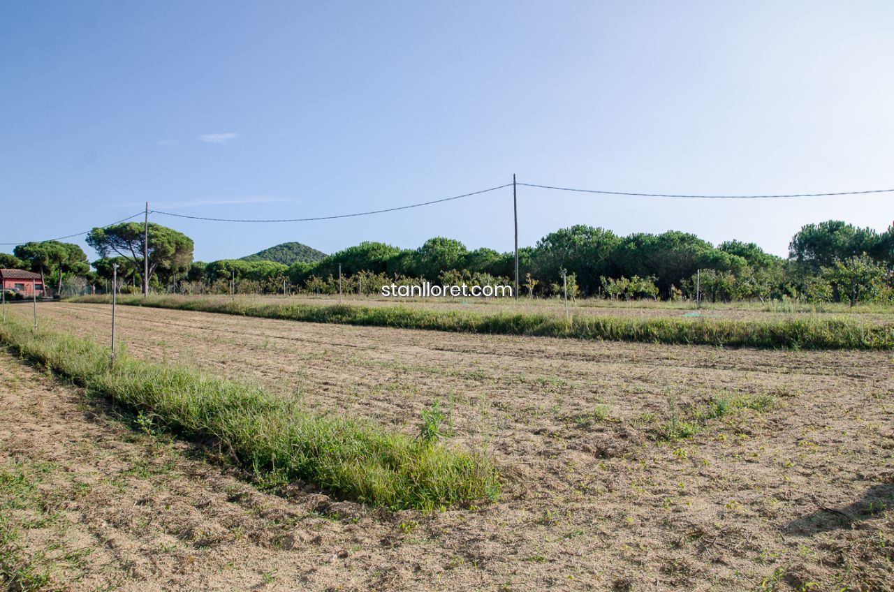 Māja Blanes, Girona, Spānijā 7 istabas, 400 m2 Nr. 104062