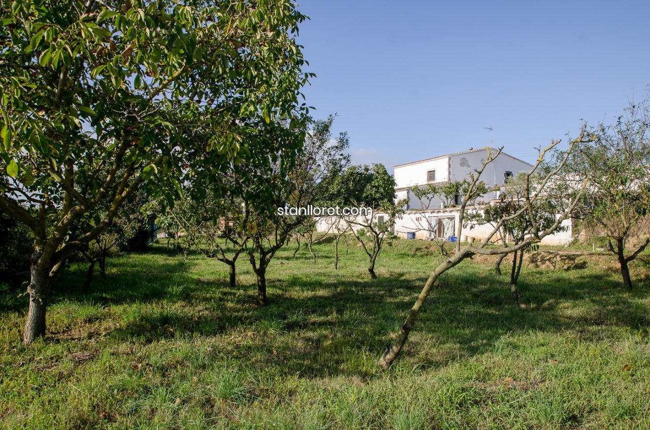 Māja Blanes, Girona, Spānijā 7 istabas, 400 m2 Nr. 104062