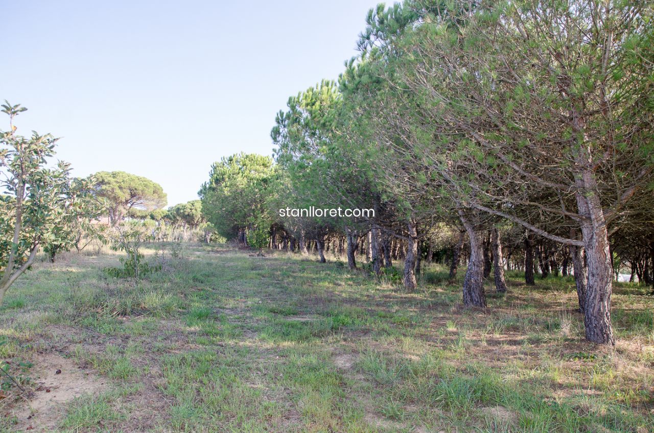 Māja Blanes, Girona, Spānijā 7 istabas, 400 m2 Nr. 104062