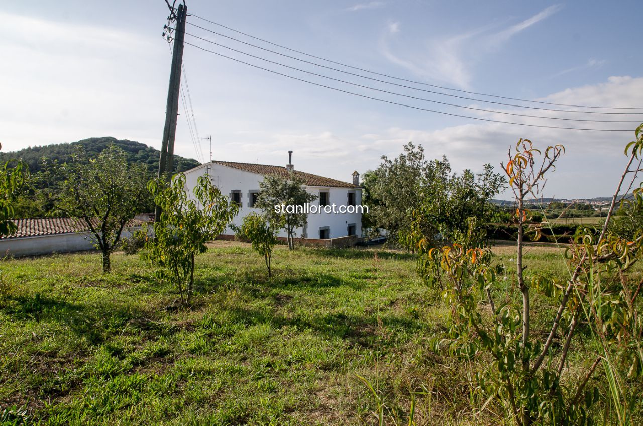 Māja Blanes, Girona, Spānijā 7 istabas, 400 m2 Nr. 104062