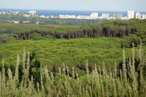 Māja pārdošanā S'Agaro, Girona, Spānijā 5 istabas, 750 m2 Nr. 22462 - attēls 8