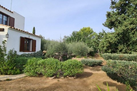 House à vendre L'Ametlla de Mar, Tarragona, Espagne, 4 chambres, 236 m2 No. 21571 - photo 14