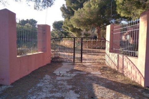 Casa in vendita L'Ametlla de Mar, Tarragona, Spagna 9 camere da letto, 908 mq. N° 21579 - foto 17