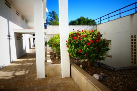 Продажа квартиры Салоу, Таррагона, Испания 2 спальни, 60м2 №21801 - фото 30