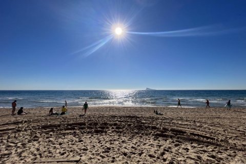 Commercial property for sale Benidorm, Alicante, Spain 347 sq.m. No. 116928 - photo 1