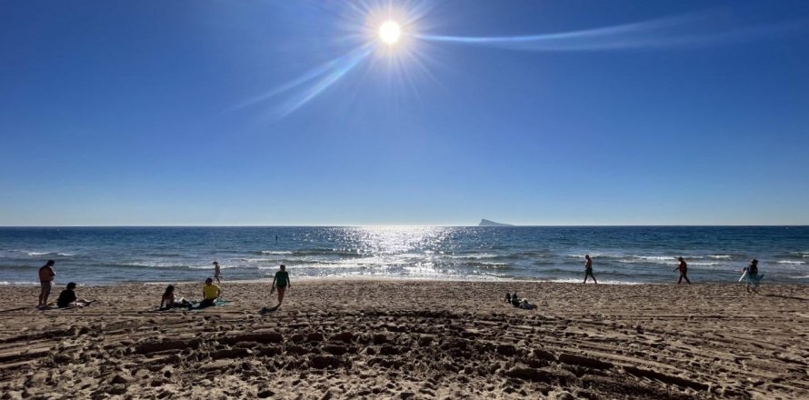 Commercial property Benidorm, Alicante, Spain 347 sq.m. No. 116928
