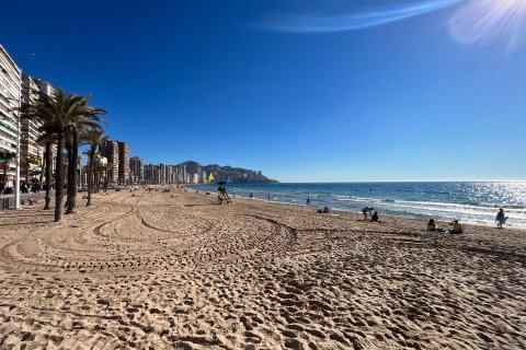Commercial property for sale Benidorm, Alicante, Spain 347 sq.m. No. 116928 - photo 24