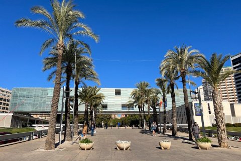 Commercial property for sale Benidorm, Alicante, Spain 347 sq.m. No. 116928 - photo 21