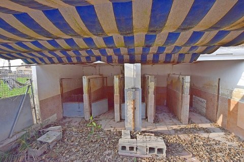 Talo myytävänä Dolores, Alicante, Espanja, 2 makuuhuonetta, 147 m2 No. 111131 - kuva 17