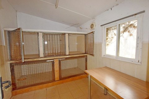 Talo myytävänä Dolores, Alicante, Espanja, 2 makuuhuonetta, 147 m2 No. 111131 - kuva 11