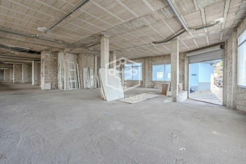 Commercial property for sale San Cristobal de La Laguna, Tenerife, Spain 1272 sq.m. No. 111127 - photo 8
