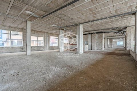Commercial property for sale San Cristobal de La Laguna, Tenerife, Spain 1272 sq.m. No. 111127 - photo 10