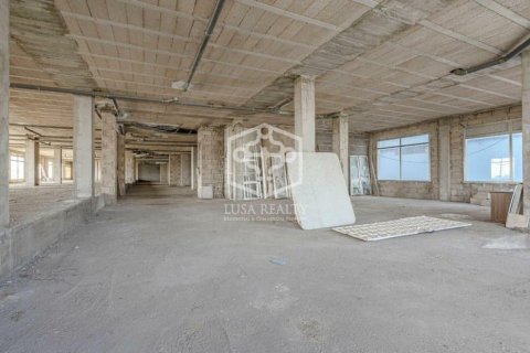 Commercial property for sale San Cristobal de La Laguna, Tenerife, Spain 1272 sq.m. No. 111127 - photo 4