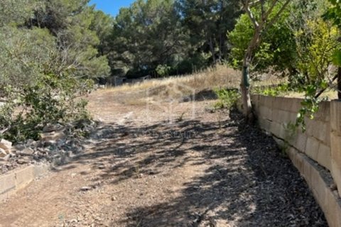 Land plot à vendre Santa Ponsa, Mallorca, EspagneNo. 111130 - photo 3