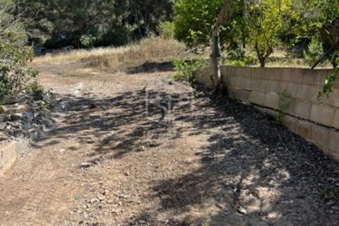 Land plot à vendre Santa Ponsa, Mallorca, EspagneNo. 111130 - photo 2