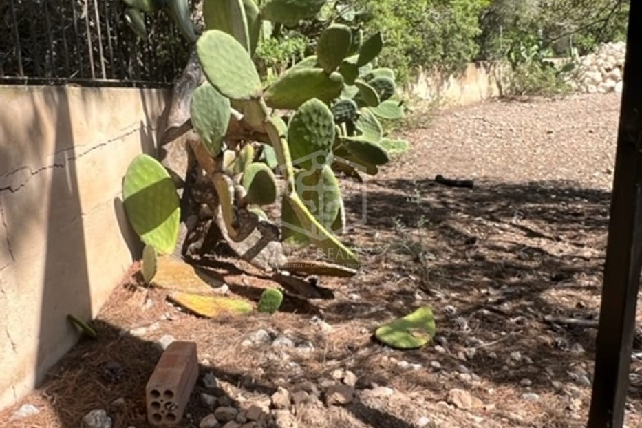 Parcela en Santa Ponsa, Mallorca, España No. 111130